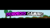 Dendroid Gaming Banner (Example).png