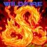 wildfire