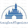 Disneyland Experience
