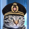 MeowCaptain