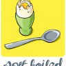 SoftBoiled Eggs