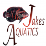Jakes Aquatic Addiction