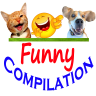 Funny Compilation