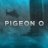 Gaming Pigeon