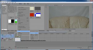 removeaudio-sonyvegas.jpg removeaudio-sonyvegas.jpg