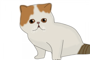 Yttalk cartoon cat.png