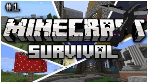 Youtube-survival-thumbnail.jpg