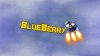 blueberry banner.jpg