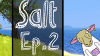 salt2.png