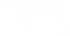 POINT COLLAGE 4.png