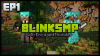 BlinkSMP1.png