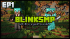 BlinkSMP1.png BlinkSMP1.png