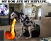 MIX TAPE.jpg