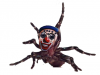lolspidera.png