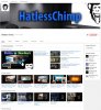 HatlessChimp Channel 30th-11-16gg.jpg