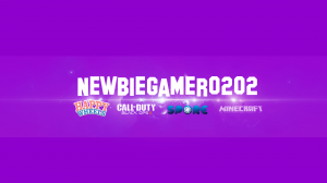 newbiegamer0202.png