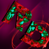 gr4.png