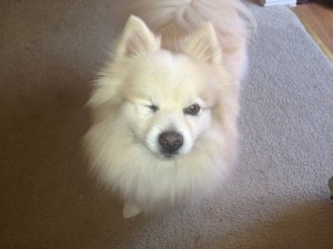 ImageUploadedByTapatalk 21368335337.010491.jpg