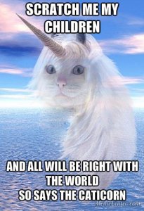 Unicorncat.jpg