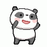ConfidentPanda