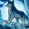 WolfieTheMisfit