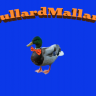 Dullardmallard