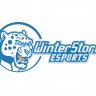 Winter Storm Esports