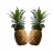 Two Pineapples