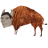 Bisonhison