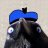 LethalCrow