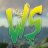 WILDSTATE